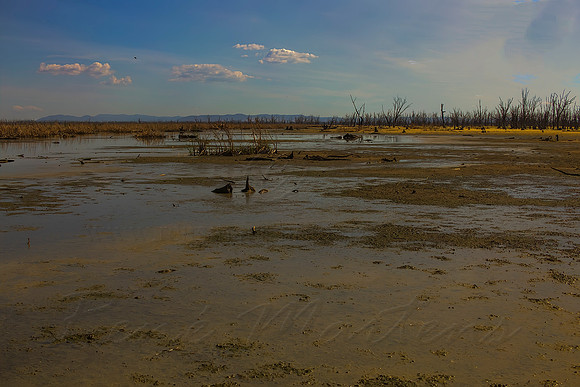 2013_12_17_00078376_77_78_79_80_tonemapped