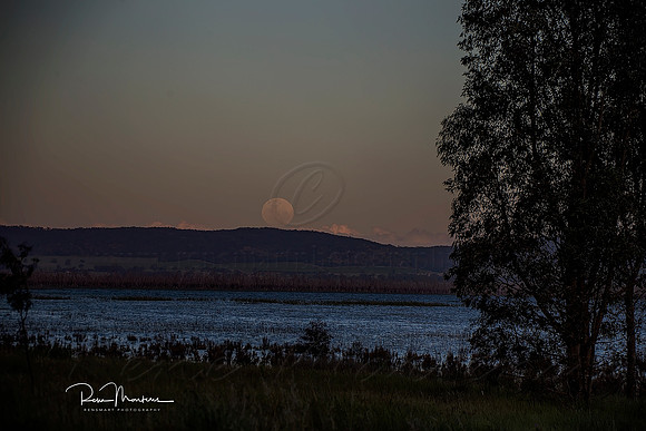 2016_11_14_00039618 sig