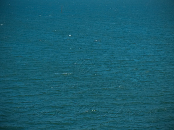 DSCN0195