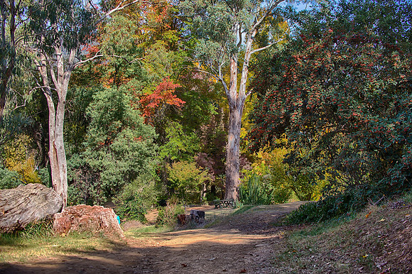 2016_04_19_00013841_HDR