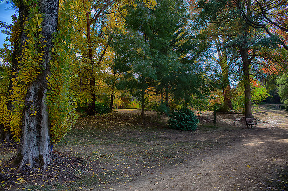 2016_04_19_00013926_HDR