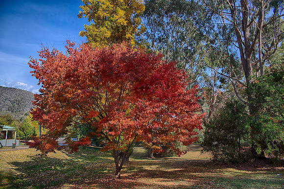 2016_04_19_00013811_HDR