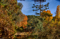 2016_04_19_00013741_HDR