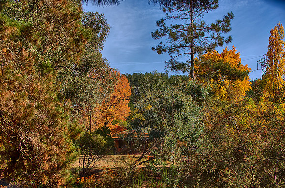 2016_04_19_00013741_HDR
