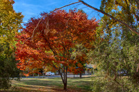 2016_04_19_00013748_HDR