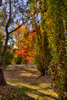 2016_04_19_00013783_HDR