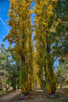 2016_04_19_00013891_HDR