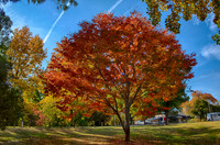 2016_04_19_00013755_HDR