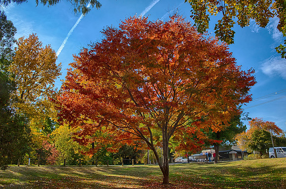2016_04_19_00013755_HDR