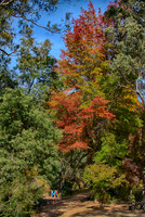 2016_04_19_00013848_HDR