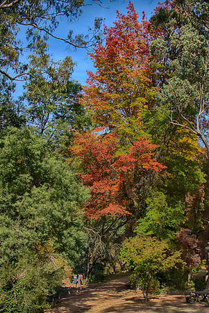 2016_04_19_00013848_HDR