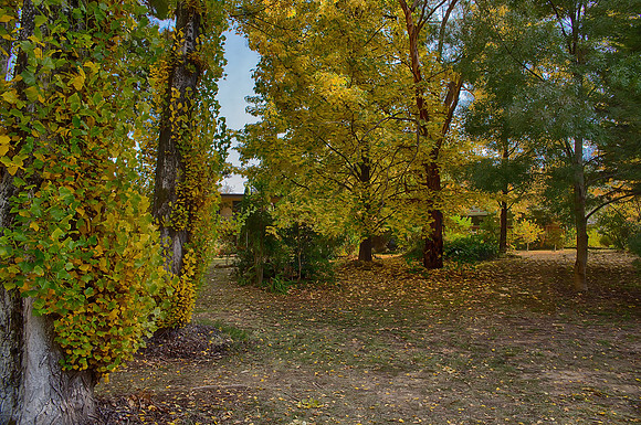 2016_04_19_00013905_HDR