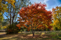 2016_04_19_00013797_HDR