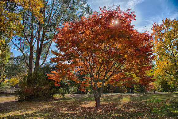 2016_04_19_00013797_HDR