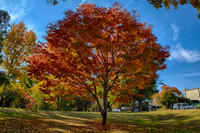 2016_04_19_00013776_HDR
