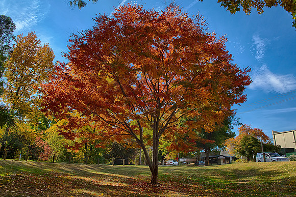 2016_04_19_00013776_HDR