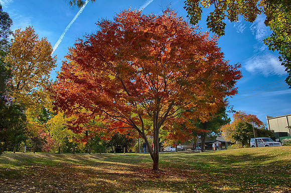 2016_04_19_00013762_HDR