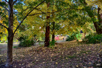 2016_04_19_00013877_HDR