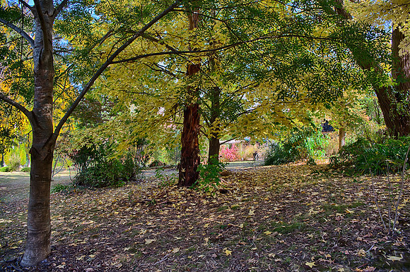 2016_04_19_00013877_HDR