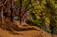 Autumn 2016 - Alpine