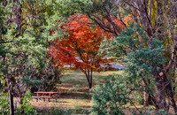2016_04_19_00013834_HDR