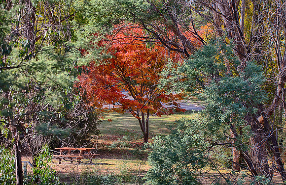 2016_04_19_00013834_HDR