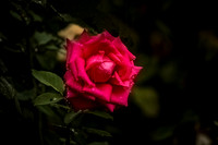 2021_03_21_9999_30