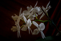 2020_09_20_9999_4