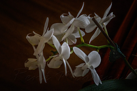2020_09_20_9999_4