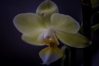 2020_09_20_9999_1
