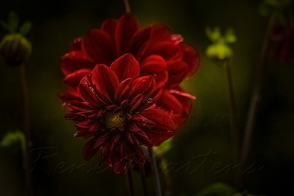 2021_03_21_9999_38