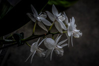 2020_09_20_9999_12