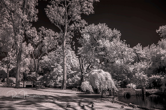 2015-11-21-100825