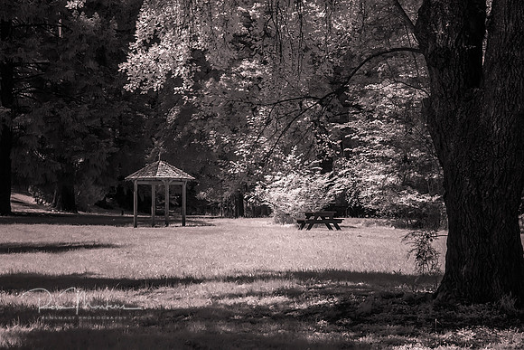 2015-10-19-095602