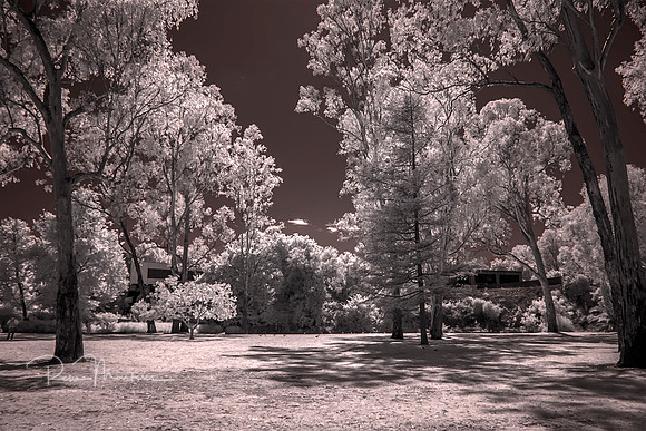 2015-11-21-100824