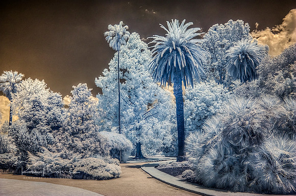 2016-11-12-110990_1_2_tonemapped