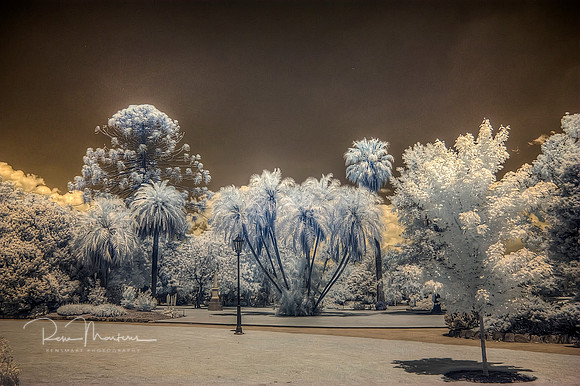 2016-11-12-110984_5_6_tonemapped
