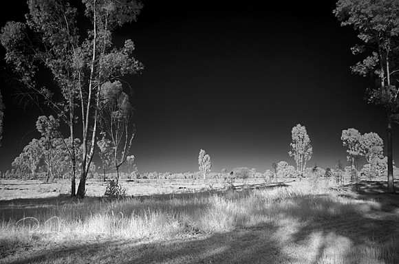 2017-09-28-115582_HDR1