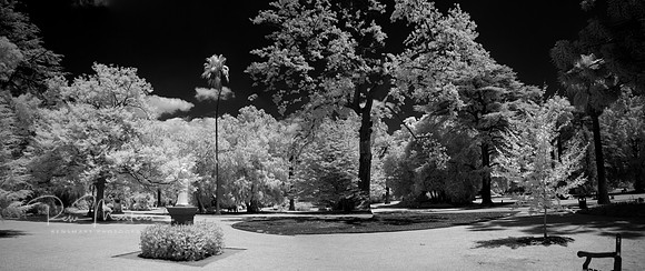 Albury Botanic Gardens 1