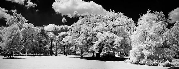 Albury Botanic Gardens 2