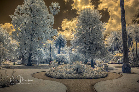 2016-11-12-110993_4_5_tonemapped