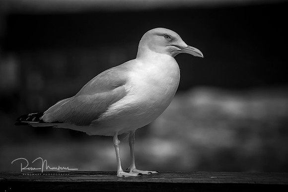 2016-09-19-109751