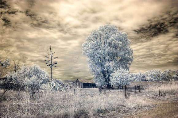 2016-12-29-111991_2_3_tonemapped