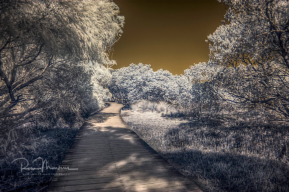 2016-09-19-109767_8_9_tonemapped