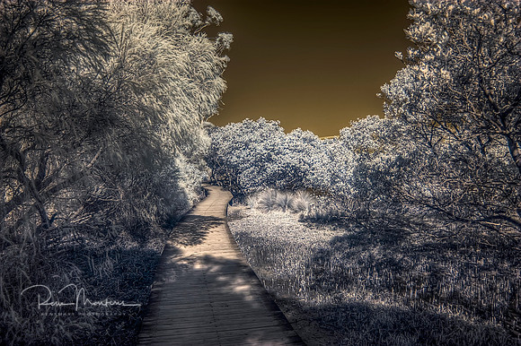 2016-09-19-109764_5_6_tonemapped
