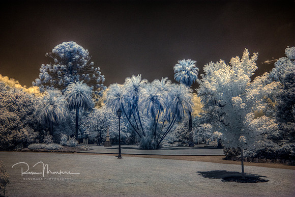 2016-11-12-110987_8_9_tonemapped