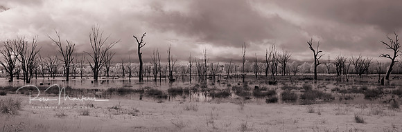 Untitled_Panorama1