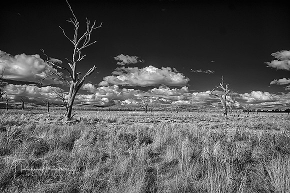 2016-05-01-106725_HDR
