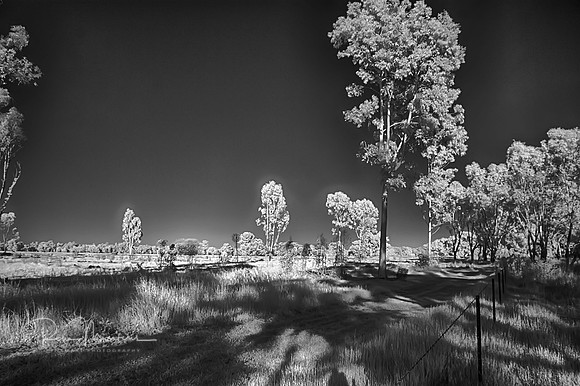 2017-09-28-115579_HDR