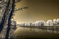 IMG_4758_Optimizer